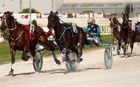 Harness Racing Betting Tips, Fixtures & Bookmaker Odds. Bet .